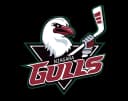 Gulls logo