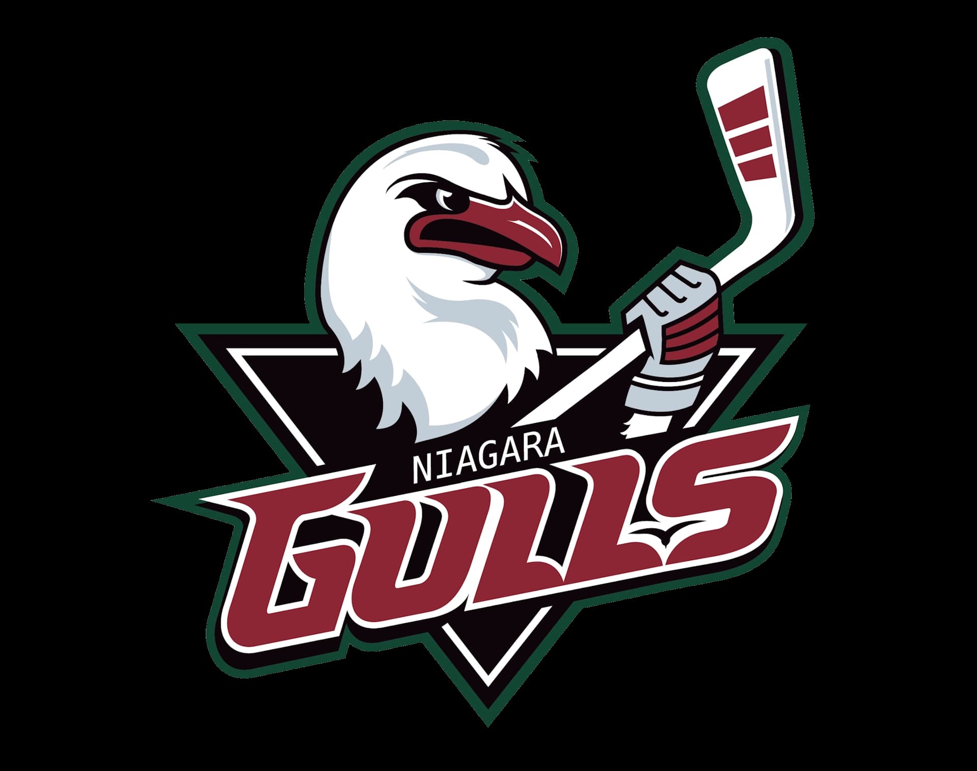 Gulls Logo